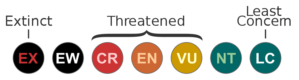 IUCN status